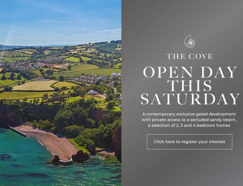 The Cove – Open Day This Saturday